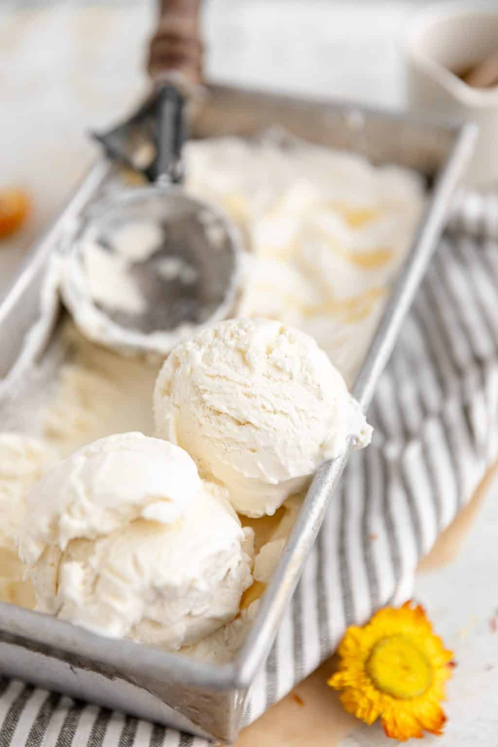 No Churn Honey Vanilla Ice Cream - In Krista's Kitchen