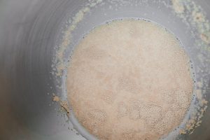frothy yeast