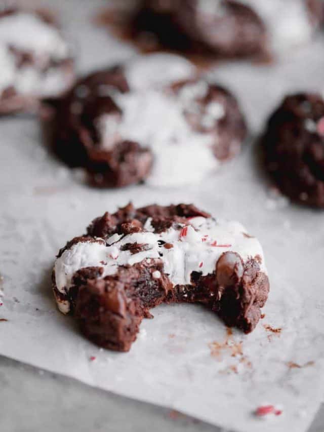 Christmas Cookie Recipes
