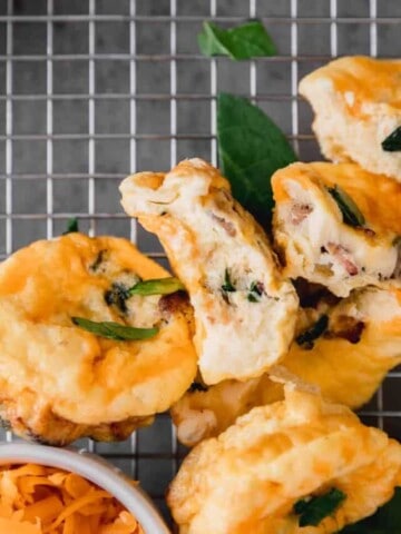 cropped-egg-bites-comp-10.jpg