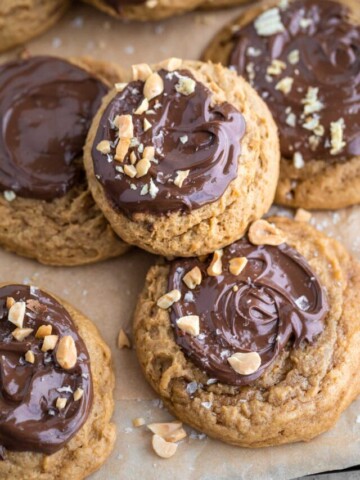 cropped-2022-06-15-easy-pb2-peanut-butter-cookies-krista-stechman-midwest-food-photographer-comp-10.jpg