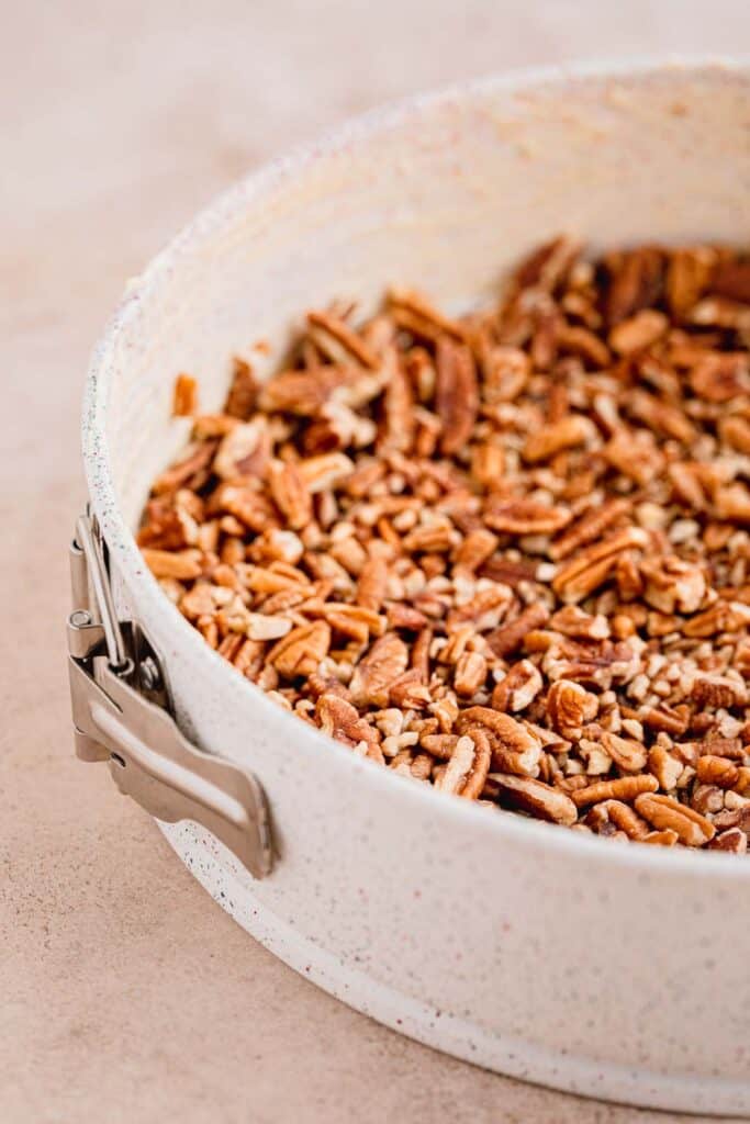 Pecans sprinkled in an even layer in the bottom of the springform pan.
