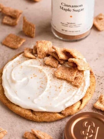 cropped-221120-cinnamon-toast-crunch-cookies-krista_stechman_midwest_food_photographer-comp-19.jpg