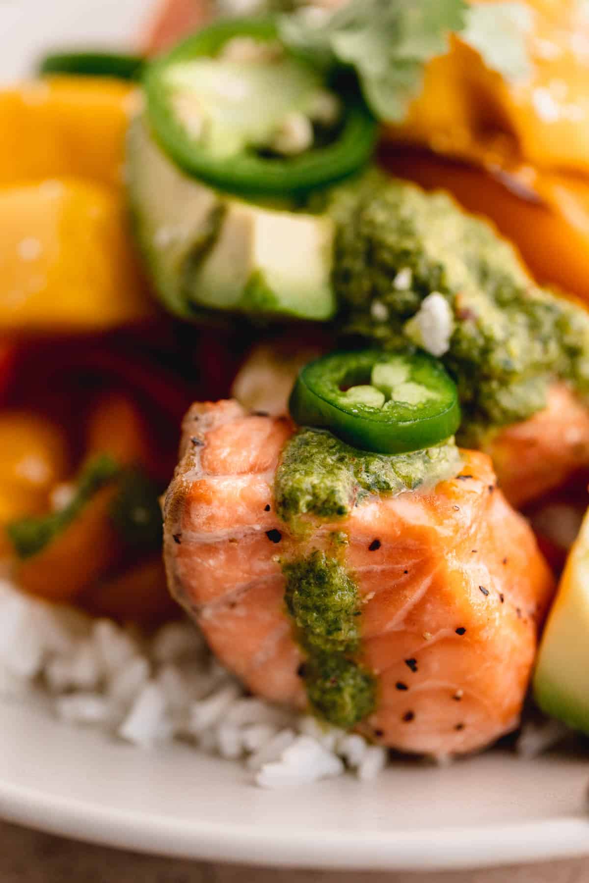 Salmon and rice bowl with chimichurri and sauteed bell peppers. 