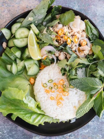 Chicken Larb with jasmine rice, Thai chiles, mint, cilantro, basil, cucumber and lime.