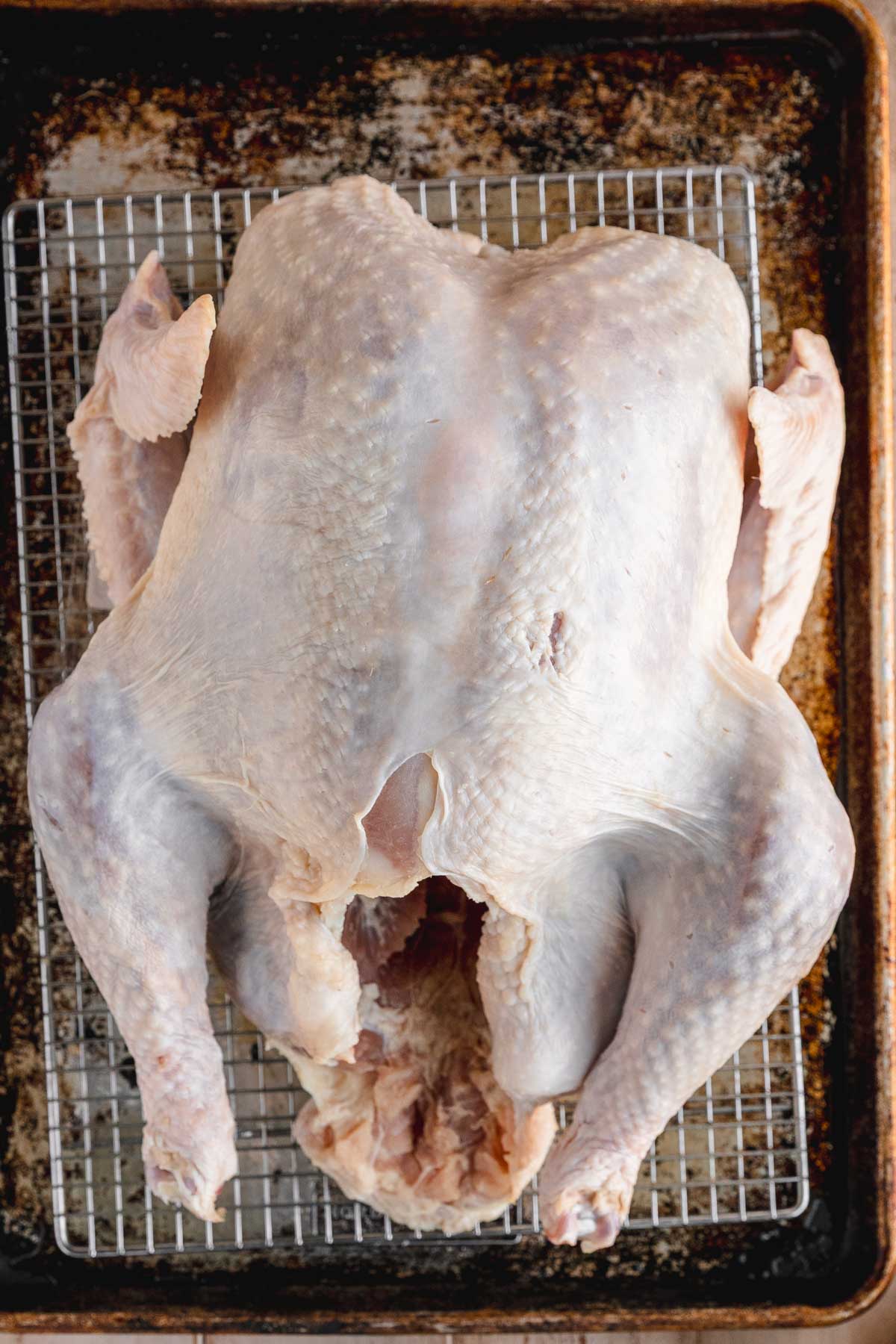 Turkey with salt and sugar mix on it on a sheet pan.